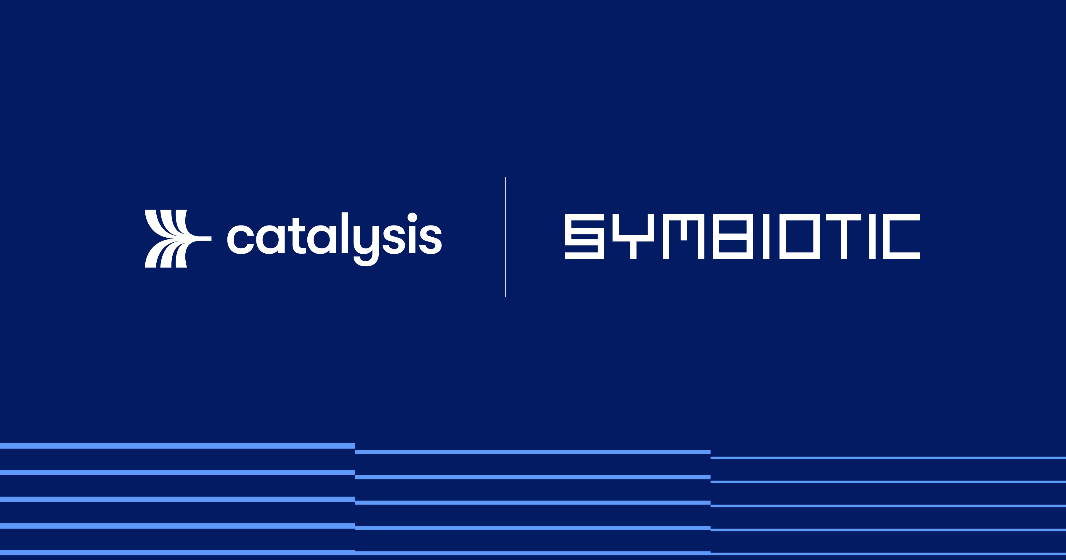 Catalysis Network on Symbiotic