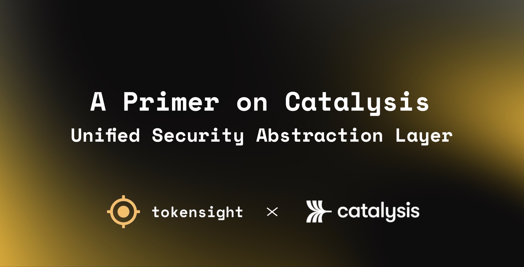 Tokensight Article 1